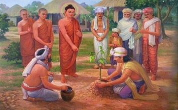 Bảy bước thăng trầm